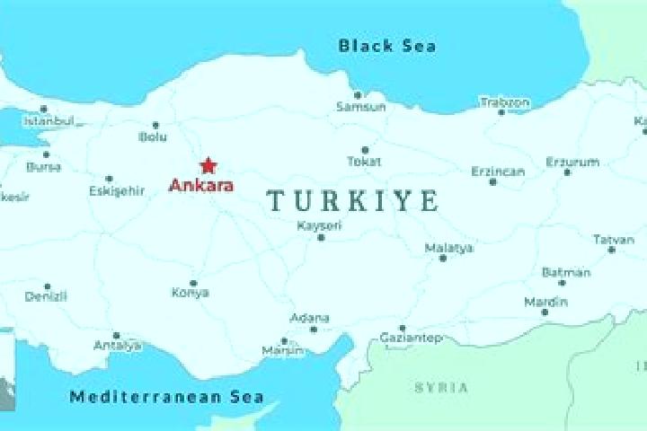 Escorts Arifiye, Turkey — Local Companions