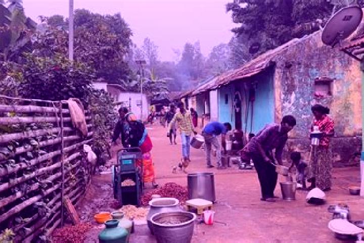 Escorts Arkalgud, India — Local Companions