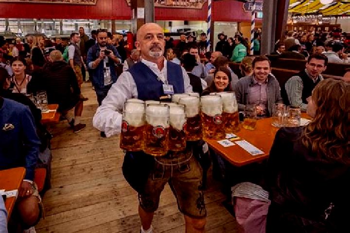 Escorts Arlewatt, Germany — Local Companions