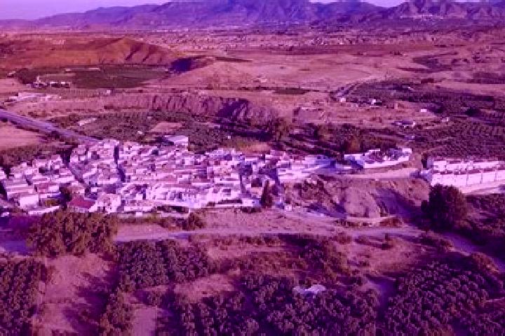 Escorts Armuna de Almanzora, Spain — Local Companions