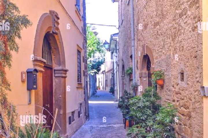 Escorts Arnara, Italy — Local Companions