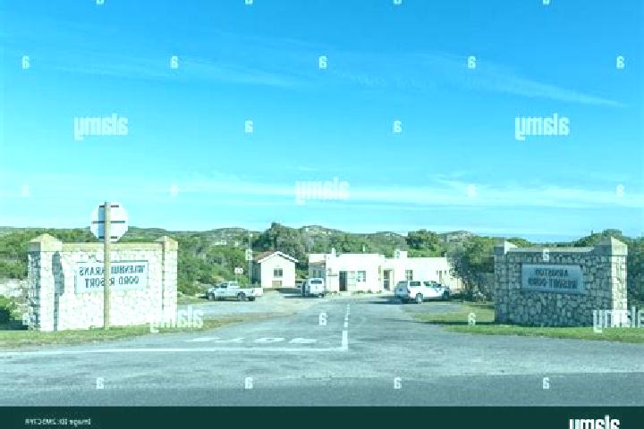 Escorts Arniston, South Africa — Local Companions