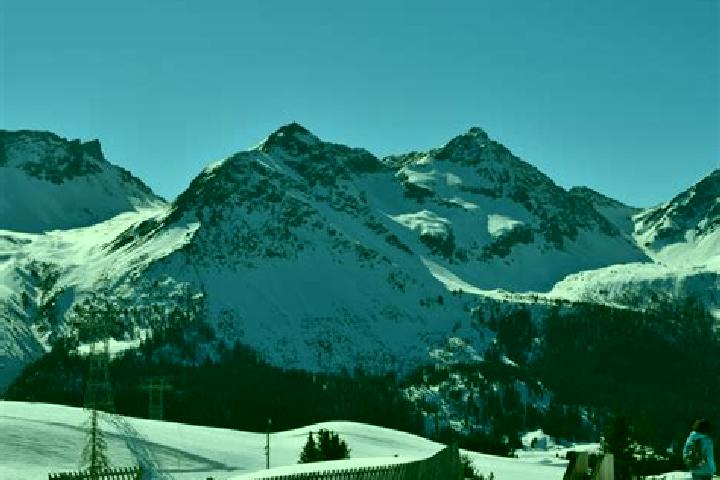 Escorts Arosa, Switzerland — Local Companions