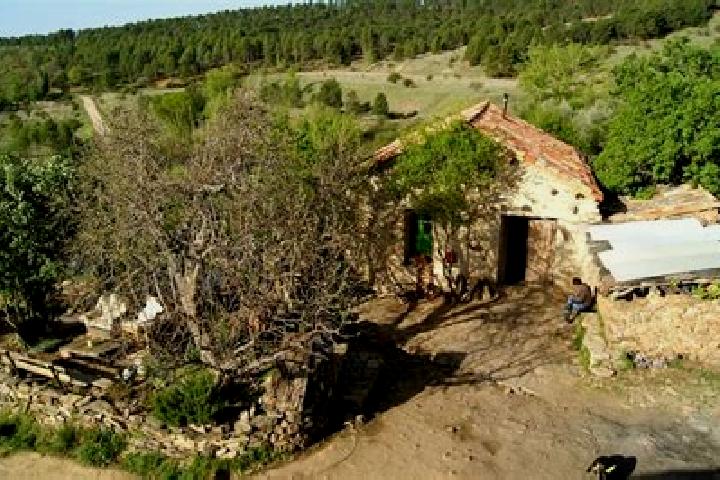 Escorts Arroyo de las Fraguas, Spain — Local Companions