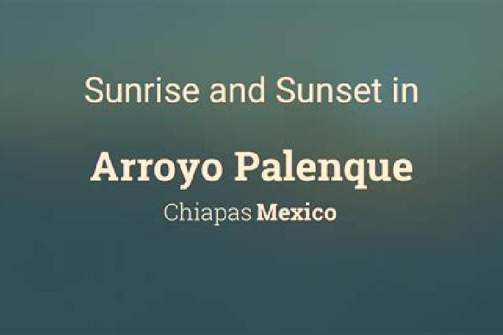 Escorts Arroyo Palenque, Mexico — Local Companions