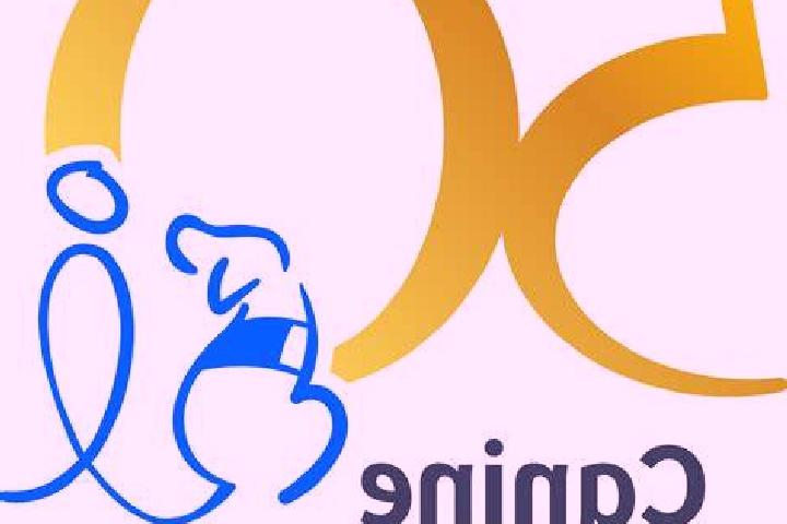 Escorts Artegna, Italy — Local Companions