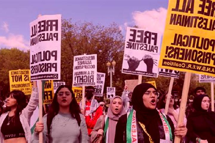 Escorts As Samu , Palestine — Local Companions