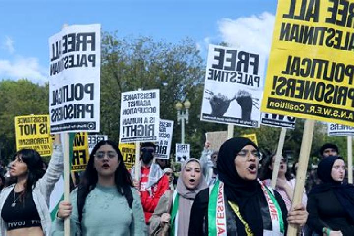 Escorts As Sawiyah, Palestine — Local Companions