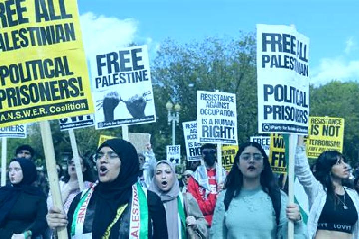 Escorts As Surrah, Palestine — Local Companions