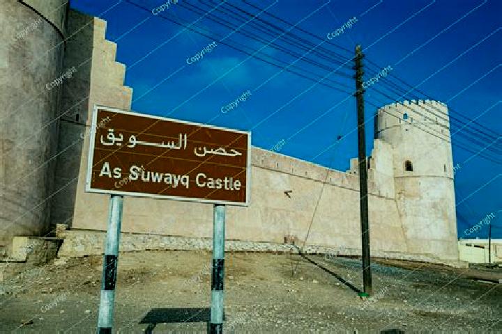 Escorts As Suwayq, Oman — Local Companions