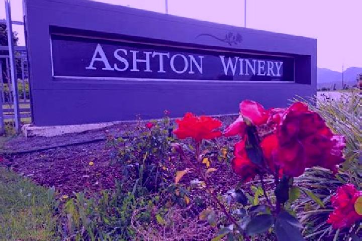 Escorts Ashton, South Africa — Local Companions