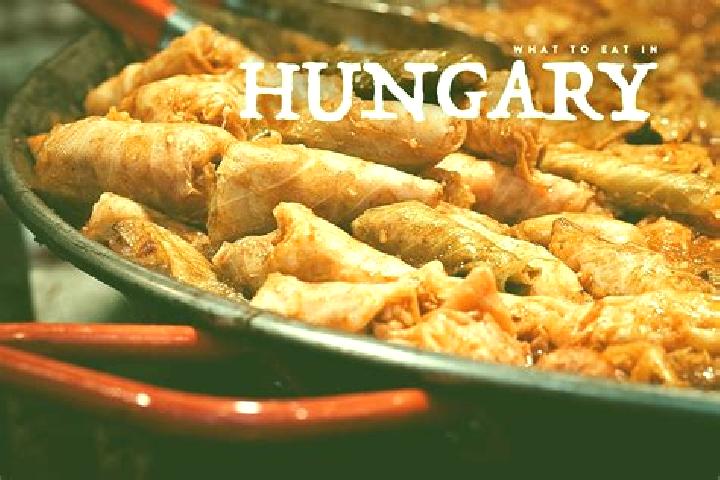 Escorts Aszalo, Hungary — Local Companions