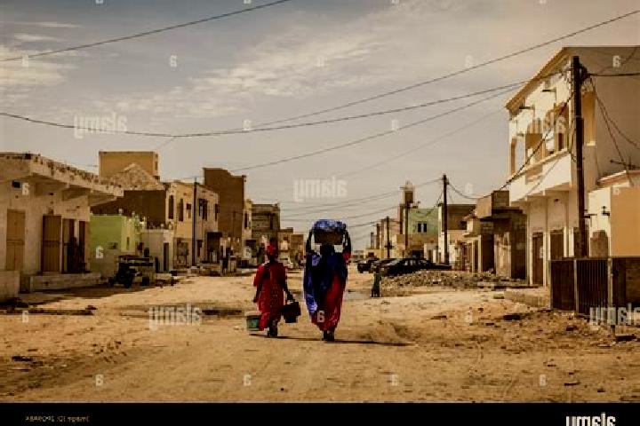 Escorts Atar, Mauritania — Local Companions