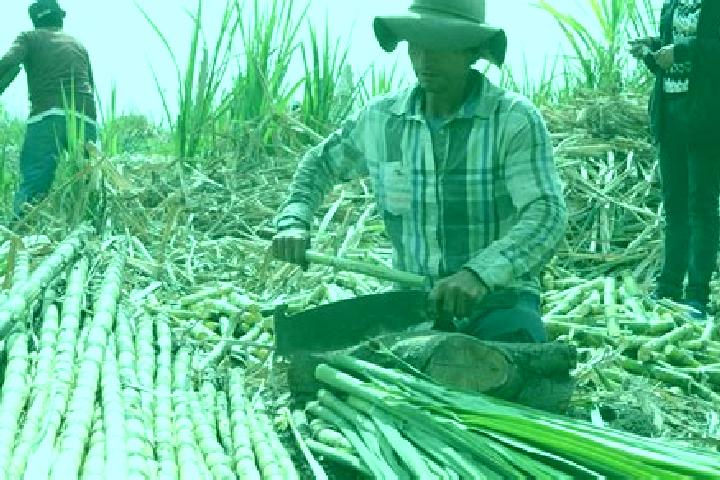 Escorts Atencingo, Mexico — Local Companions