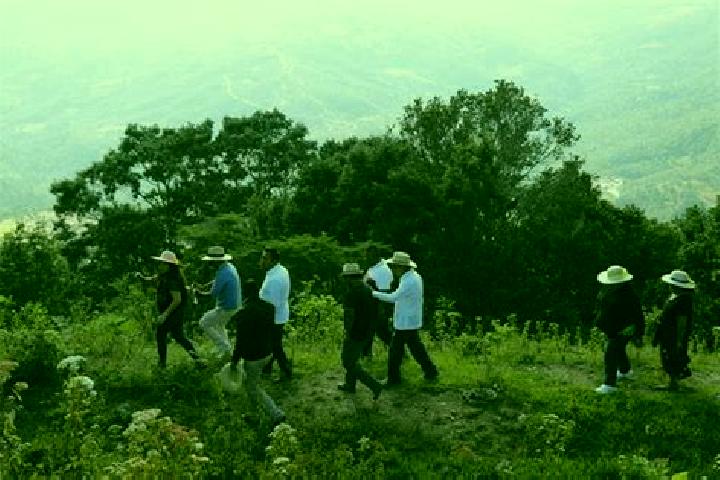 Escorts Atlamajalcingo del Monte, Mexico — Local Companions