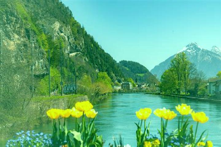 Escorts Au, Switzerland — Local Companions