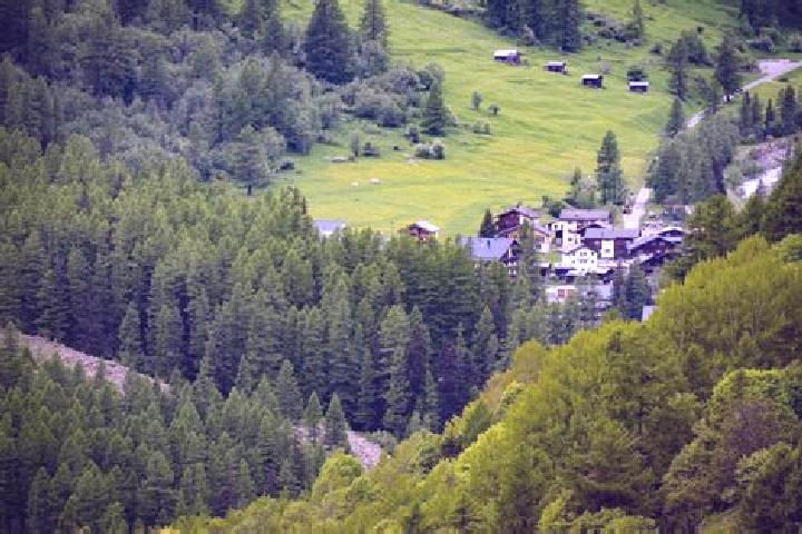 Escorts Au / Unter-Dorf, Switzerland — Local Companions