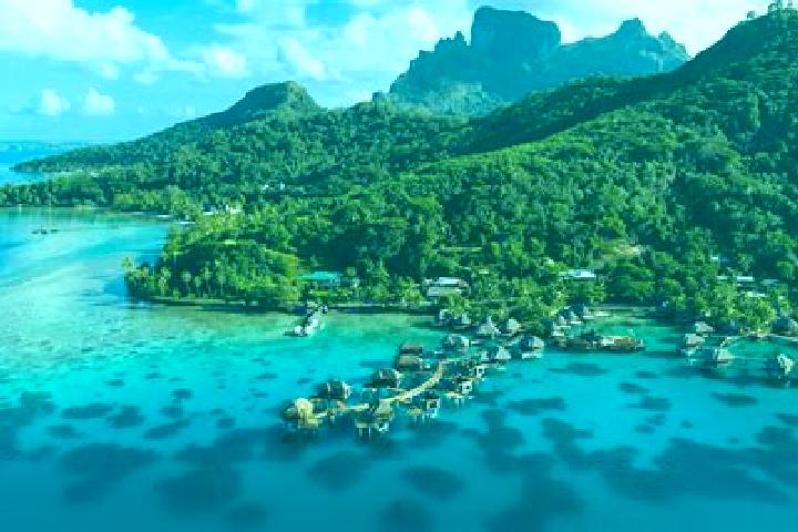 Escorts Avera, French Polynesia — Local Companions