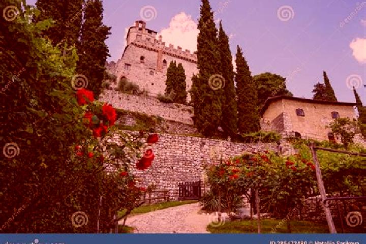 Escorts Avio, Italy — Local Companions