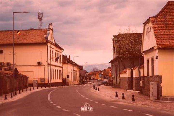 Escorts Avrig, Romania — Local Companions