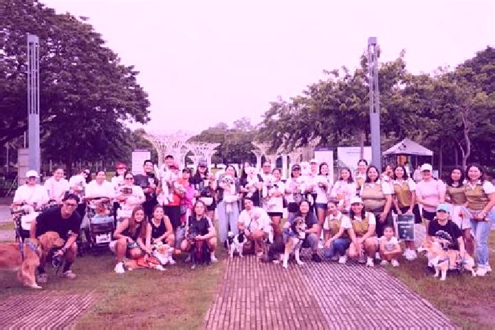 Escorts Ayala Alabang, Philippines — Local Companions