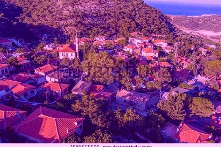 Escorts Ayvacik, Turkey — Local Companions