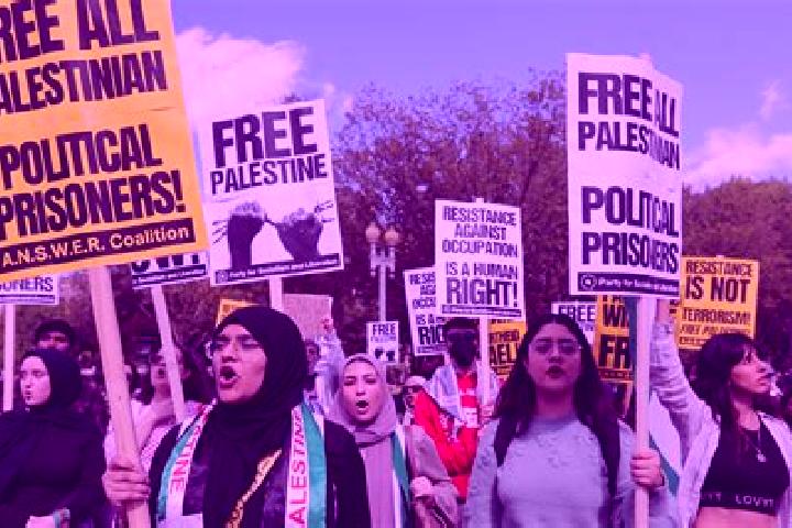 Escorts Az Zahiriyah, Palestine — Local Companions