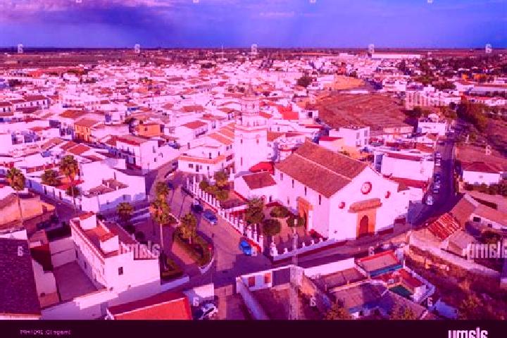 Escorts Aznalcazar, Spain — Local Companions