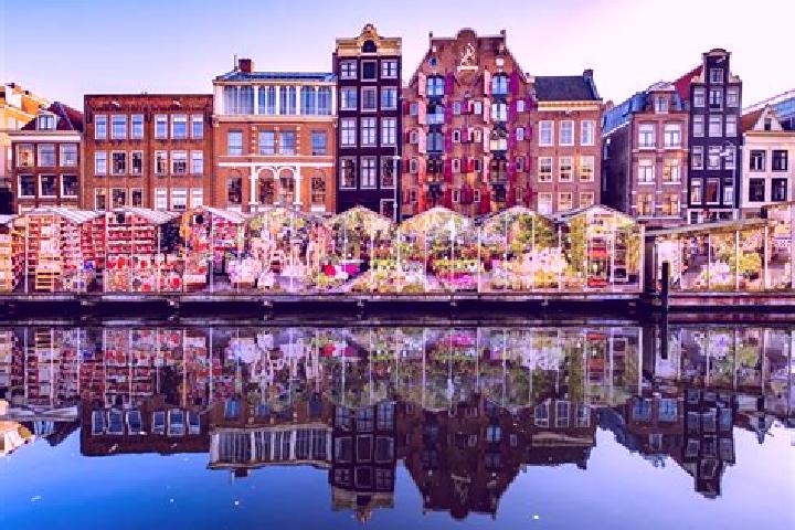 Escorts Baardwijk, Netherlands — Local Companions