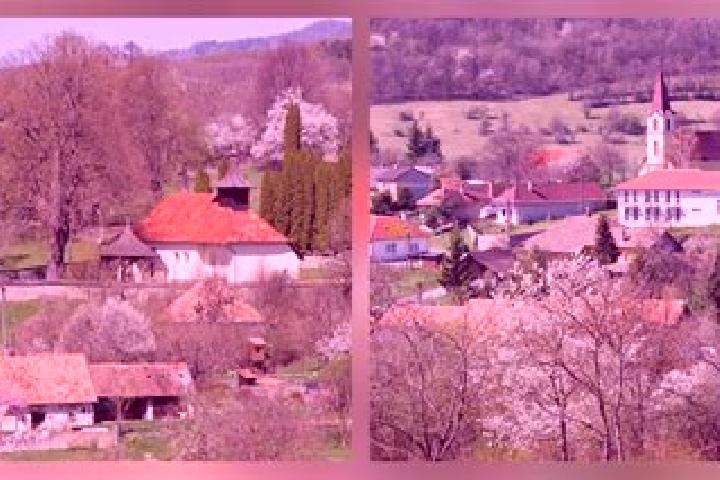 Escorts Babindol, Slovakia — Local Companions