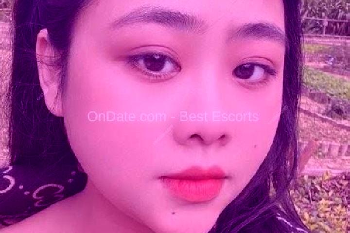Escorts Bac Quang, Vietnam — Local Companions