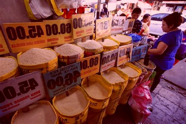 Escorts Bacayawan, Philippines — Local Companions
