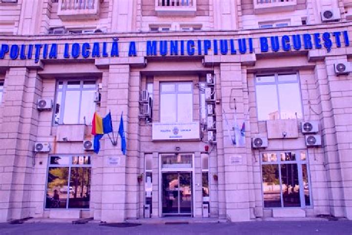 Escorts Bacia, Romania — Local Companions