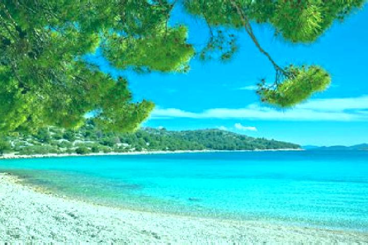 Escorts Bacina, Croatia — Local Companions