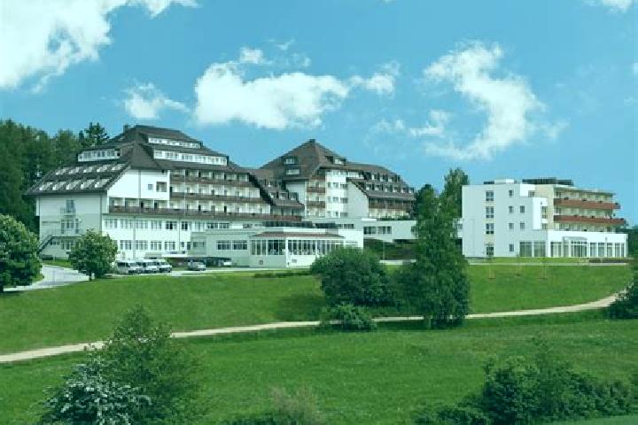 Escorts Bad Schoenau, Austria — Local Companions