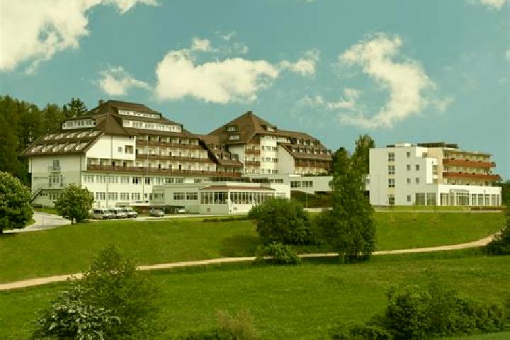 Escorts Bad Vigaun, Austria — Local Companions