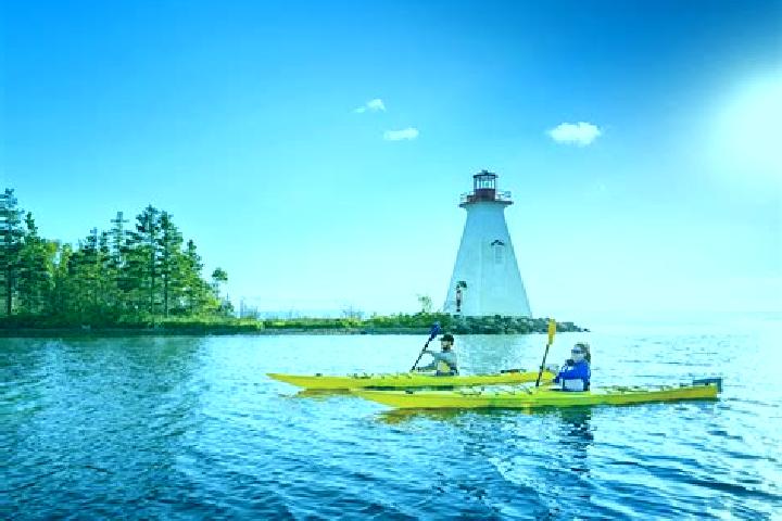 Escorts Baddeck, Canada — Local Companions
