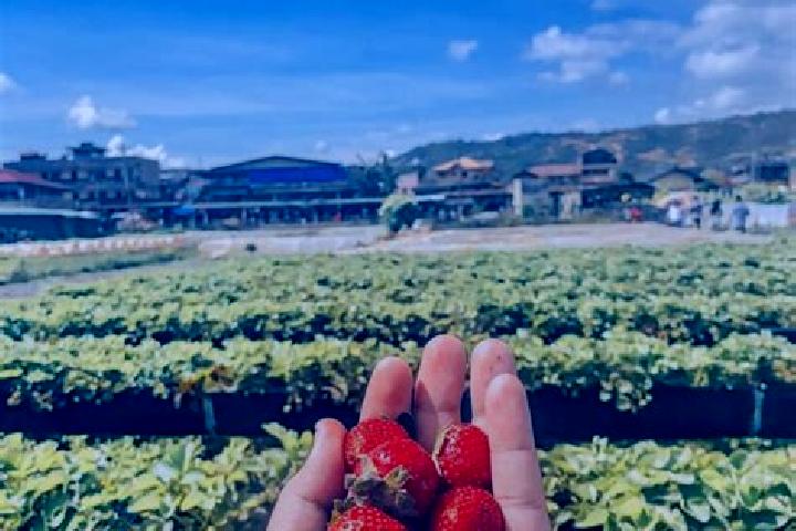 Escorts Baguio, Philippines — Local Companions