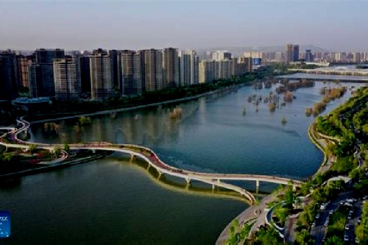 Escorts Bahe, China — Local Companions