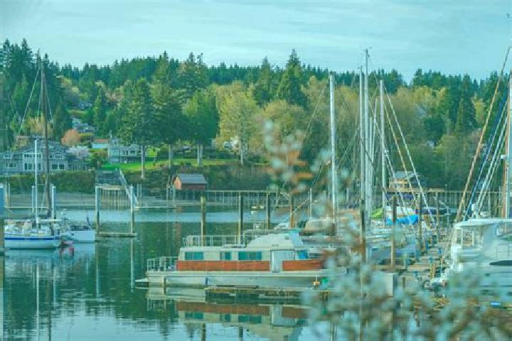 Escorts Bainbridge Island, United States — Local Companions