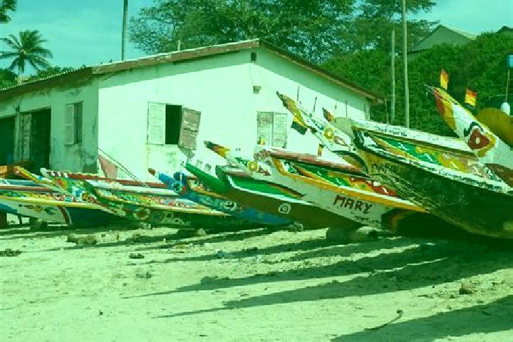 Escorts Bakau, Gambia — Local Companions