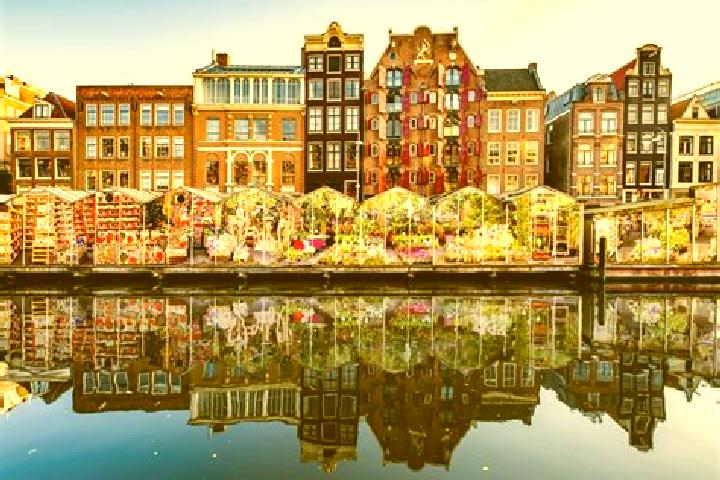 Escorts Bakkum, Netherlands — Local Companions