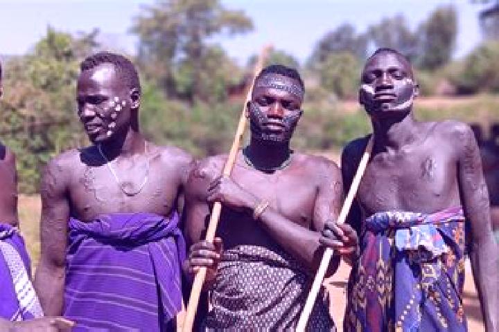 Escorts Bako, Ethiopia — Local Companions