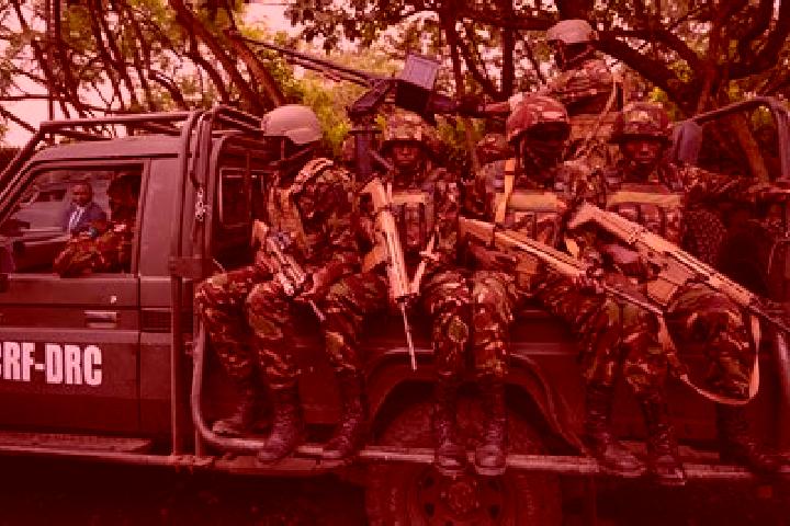 Escorts Bakwa, DR Congo — Local Companions