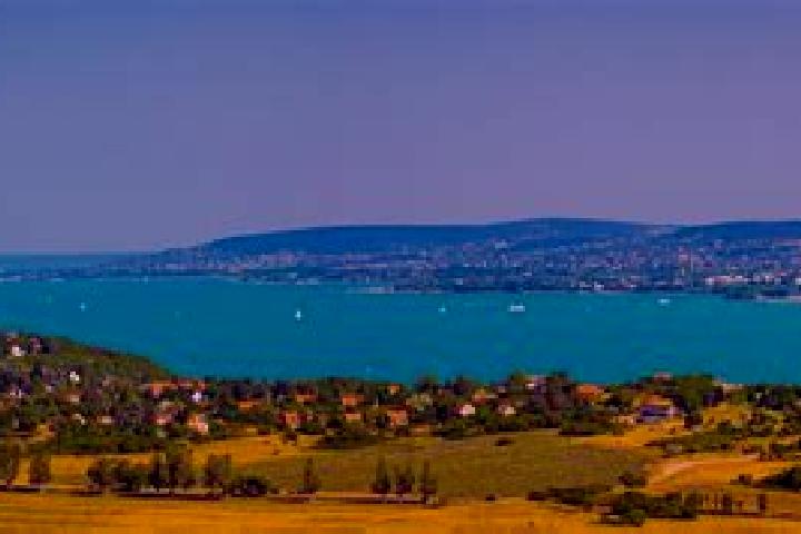 Escorts Balatonlelle, Hungary — Local Companions