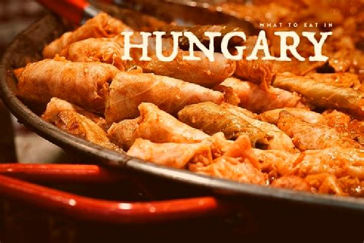 Escorts Balatonvilagos, Hungary — Local Companions