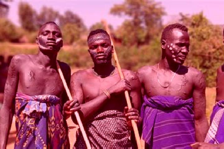 Escorts Bale Hawassa, Ethiopia — Local Companions
