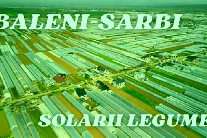 Escorts Baleni Sarbi, Romania — Local Companions