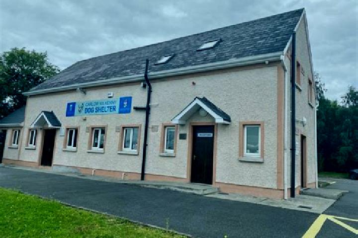 Escorts Ballinroad, Ireland — Local Companions