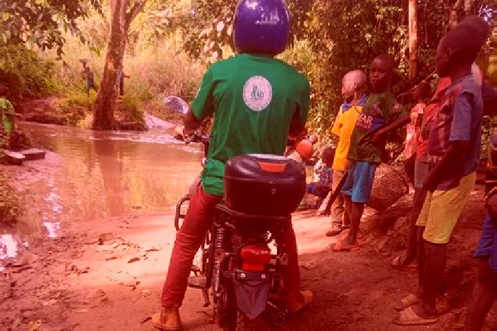 Escorts Bambari, Central African Republic — Local Companions